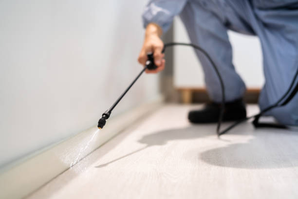 Licensed Cockroach Control service in Ivins, UT - Nex Pest Control