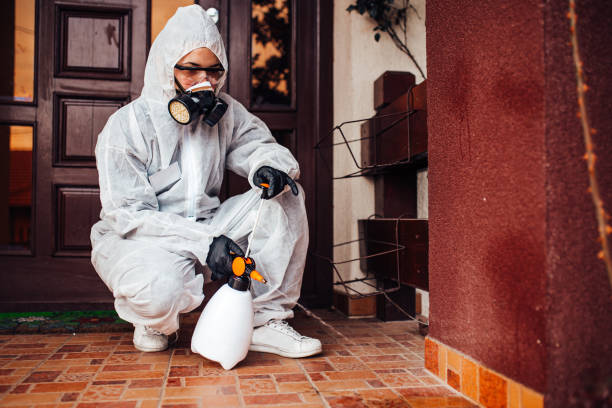 Reliable Cockroach Control contractor in Ivins, UT by Nex Pest Control